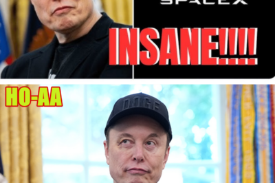 Elon Musk Confirms SpaceX WILL Go Public with the Largest IPO in History