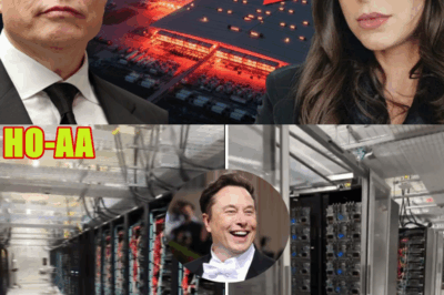 New Colossus: World’s Largest AI Datacenter Isn’t What It Seems