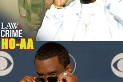 9 Shocking P. Diddy Revelations Exposed in New Netflix Doc