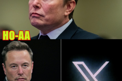 ‘SIGNIFICANT ESCALATION’: Musk Fined Millions by EU over X Practices