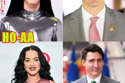 Katy Perry & Justin Trudeau Hard Launch Romance With Sweet Photo