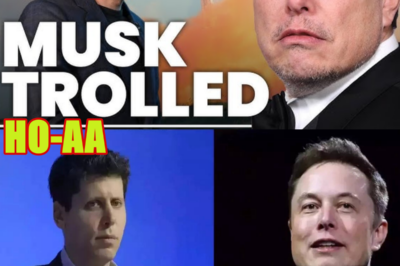 Sam Altman ‘Trolling’ Elon Musk in the Ultimate ‘Wind Up’