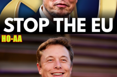 Elon Just Dropped His Most INSANE Idea Ever (and He Is Serious)