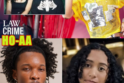 Secret Witness Testimony Rocks D4vd Tesla Body Case: Report