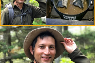 S – Tourist Vanished on Appalachian Hike — A Year Later, He Was Found… Inside a Tourist Meal