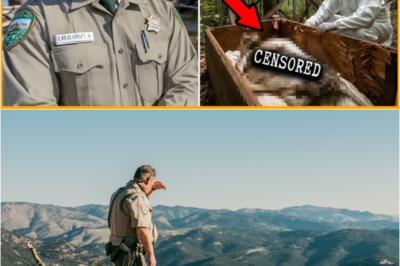 S – In 1980 a Park Ranger Vanished — 30 Years Later, He Was Found Inside a Watchtower