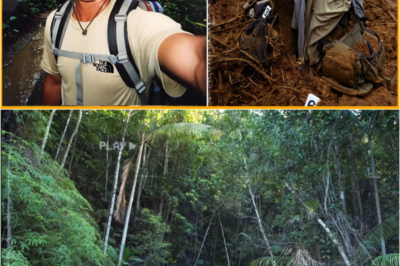 S – Tourist Vanished in Amazon Jungle — Five Years Later, the Terrifying Truth Was Revealed