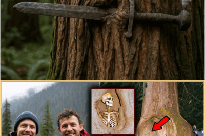 S – Ranger Found Growth on a Tree—Inside Was ALL That Remained of Tourists Missing 10 Years Ago