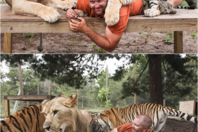 S – Meet the big cat enthusiast who shares backyard with tigers and lions – and WRESTLES with them