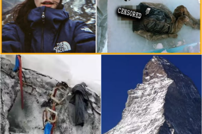 S – Climber Vanished in Colorado Mountains—Three Months Later, Found Frozen in an Ice Block