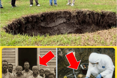 S – A Backyard Sinkhole Revealed Secrets Behind a 1923 Mass Disappearance in Florida