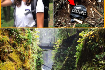 S – Tourist Vanished in Olympic National Park — Found Two Years Later Buried Beneath Tree Roots