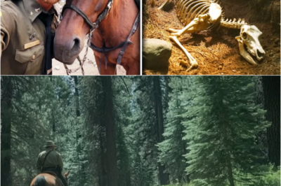 S – Ranger Vanished Near Mount Shasta — Six Years Later, All They Found Was His Horse’s Skeleton