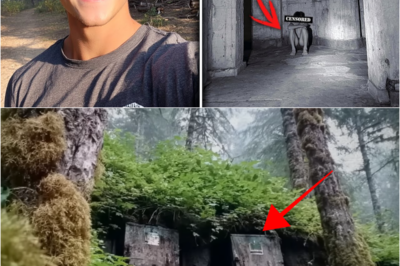 S – Teen Vanished in Washington — Two Years Later, Found Tied Up Inside an Abandoned Bunker
