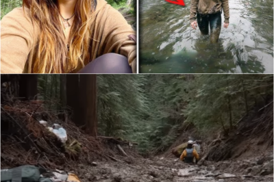 S – Girl Vanished On Appalachian Trail – 5 Months Later Found Standing In Water, WITH FULL AMNESIA…