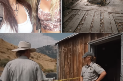 S – Tourists Vanished In Colorado – 8 Months Later Found In Shed, WRAPPED IN OLD RUGS