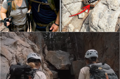 S – Couple With Dwarfism Vanished in Yosemite — Four Years Later, an Old Suitcase Reveals a Chilling Truth