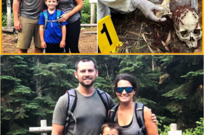 S – Family Vanished While Camping in Alaska — Three Years Later, Found in a Giant Ant Hill