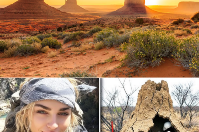 S – Hiker Vanished in Arizona — 7 Years Later Found As PART OF A GIANT TERMITE MOUND…